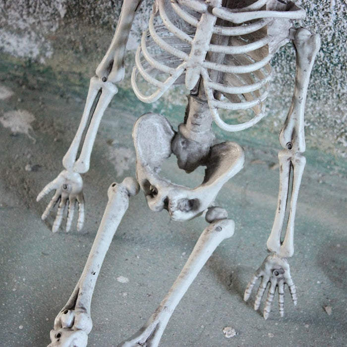 Halloween Skeleton Decorations