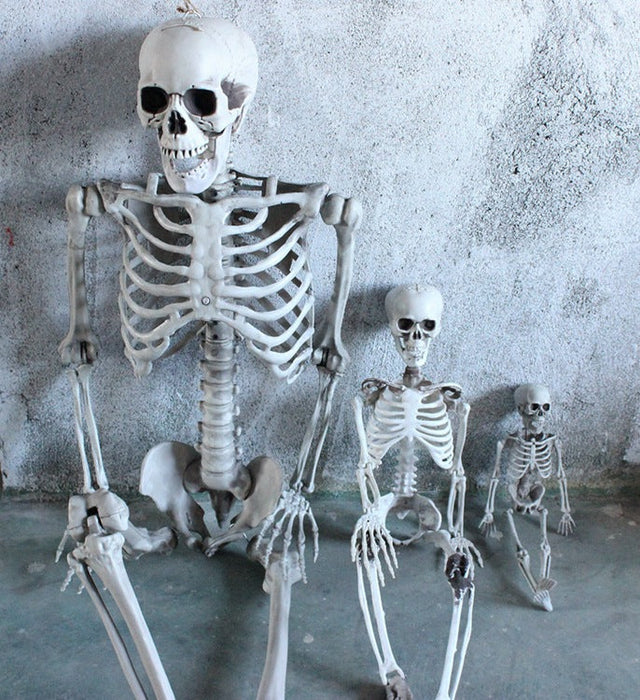 Halloween Skeleton Decorations