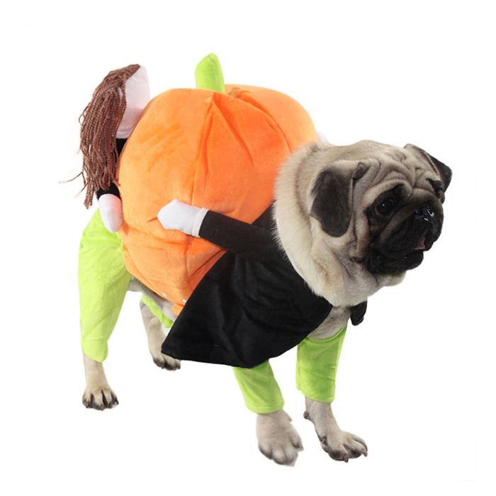 Halloween Funny Pet Pumpkin Costume