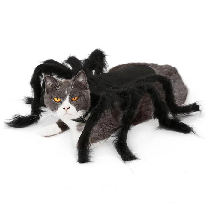 Pet Spider Halloween Cosplay Costume